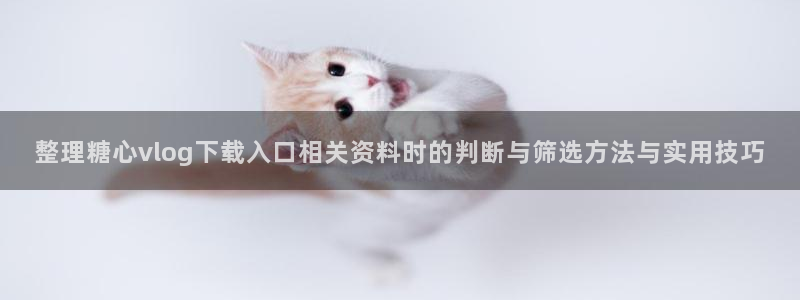 糖心vloge:整理糖心vlog下载入口相关资料时的判断与筛选方法与实用技巧