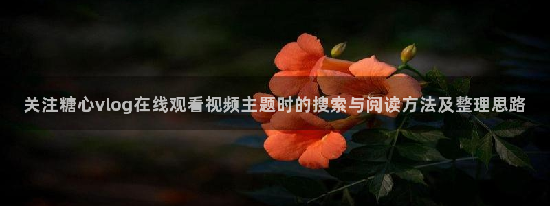 txvlog com糖心官网