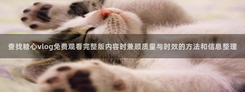 糖心vlog免费高清观看