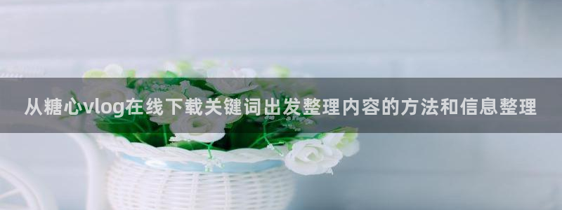 糖心vlog免费观看在线