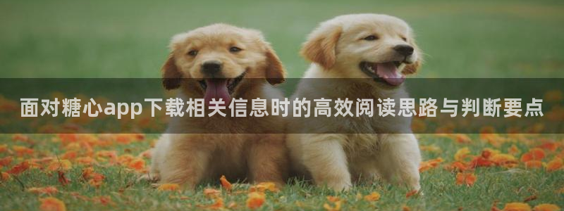 糖心传媒在线