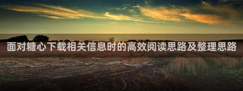 心糖vlog官网