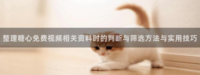 糖心少女logo